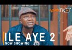 Ile Aye Part 2 Latest Yoruba Movie 2021 Download
