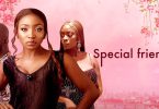 Special Friends – Nollywood Movie » 36Vibes