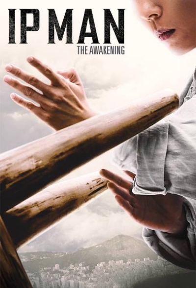 Ip Man 6: The Awakening (2022) 